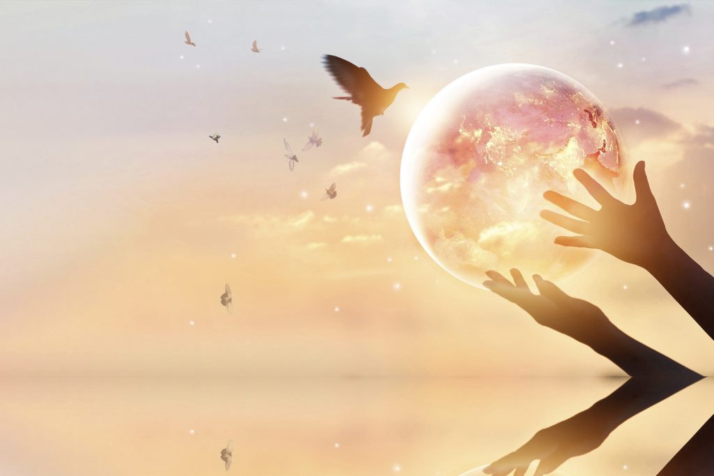 Reiki Eğitimi 2. Aşama